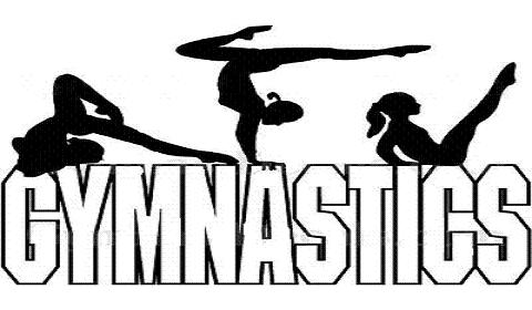 http://newberngymnastics.com/wp-content/uploads/2017/04/gymnastics-clipart-parallel-bars-Gymnastics-silhouette-2wide1.jpg